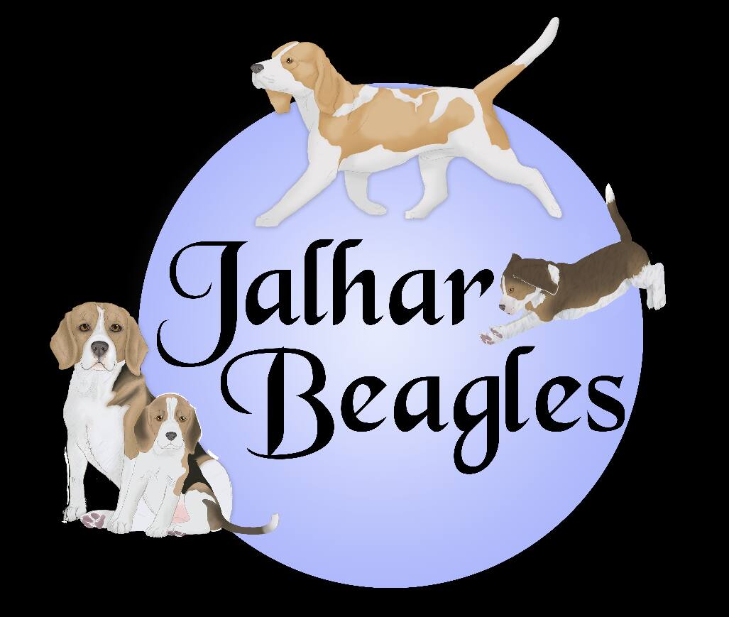 JALHAR BEAGLES